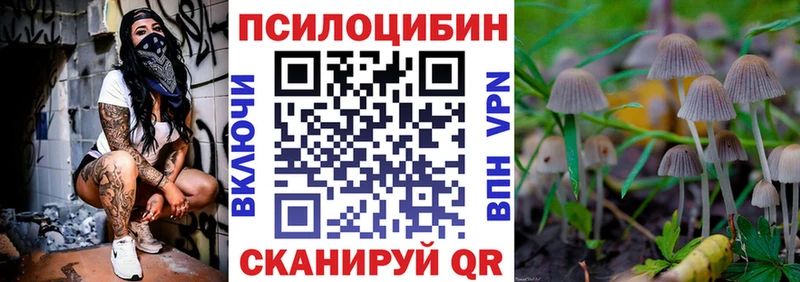 OMG ссылки  Йошкар-Ола  Псилоцибиновые грибы Magic Shrooms  магазин продажи наркотиков 