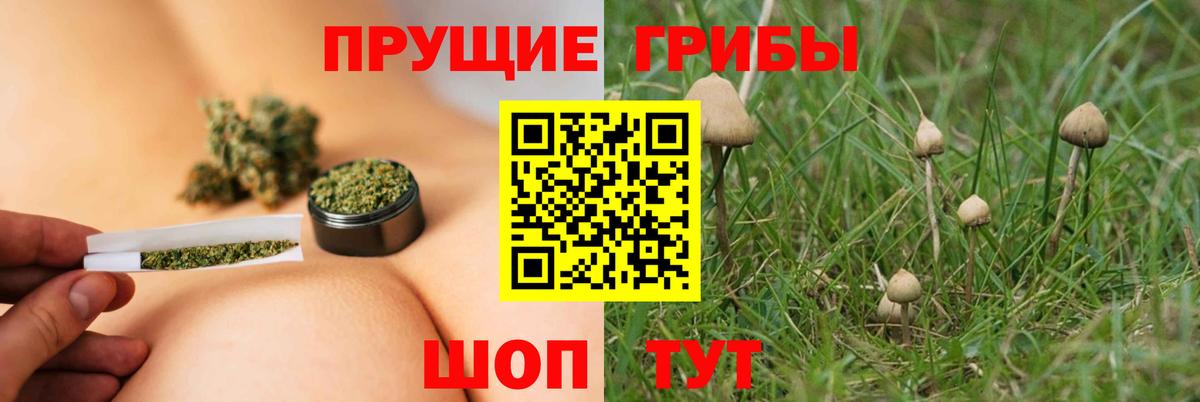 Йошкар-Ола  Галлюциногенные грибы Magic Shrooms  Вход с VPN 